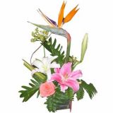 ںʻٵ