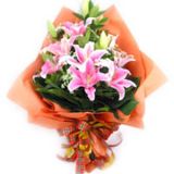 ںʻٵ