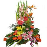 ںʻٵ