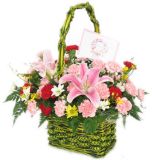 ںʻٵ