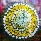 ںӿҵ