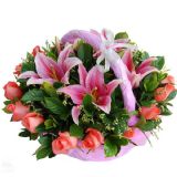 ںʻٵ
