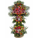 ںʻٵ