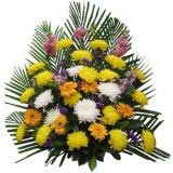 ںʻԤ