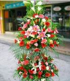 ںӿҵ