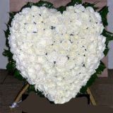 ںӿҵ